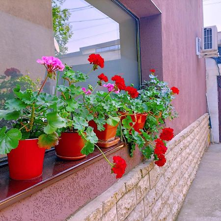 Luta Studio Bucureşti Exterior foto